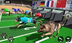 Cách Chơi Game Nhanh Đua Chó Tại Fun88 Hấp Dẫn Cho Tân Thủ